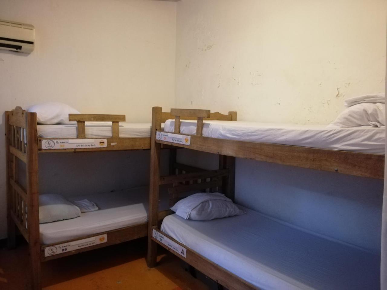 Tree House Hostal
