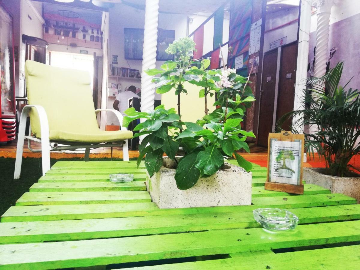 Tree House * Cartagena